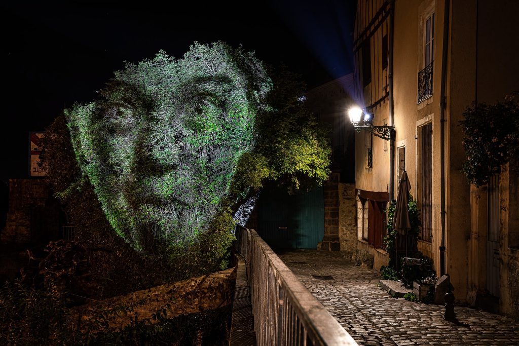 Arbre avec un visage projeté
